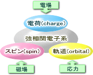 図_強相関電子系.gif 図_強相関電子系.gif